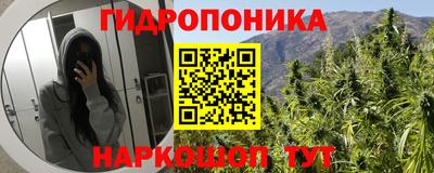 СК Мариинск