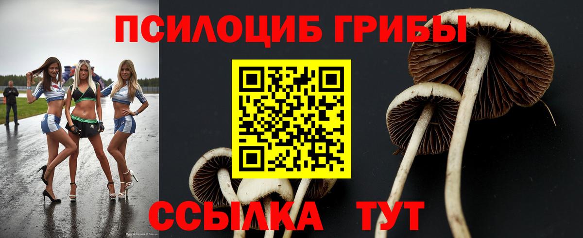 Псилоцибиновые грибы Cubensis Спасск-Дальний