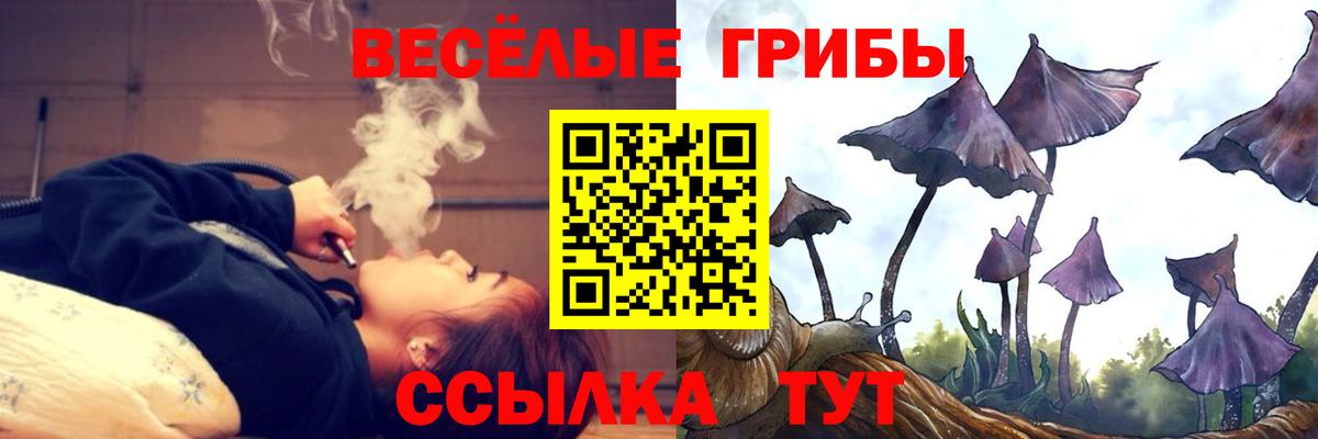 Псилоцибиновые грибы мицелий  Псилоцибиновые грибы мицелий  Спасск-Дальний  Вход с VPN 